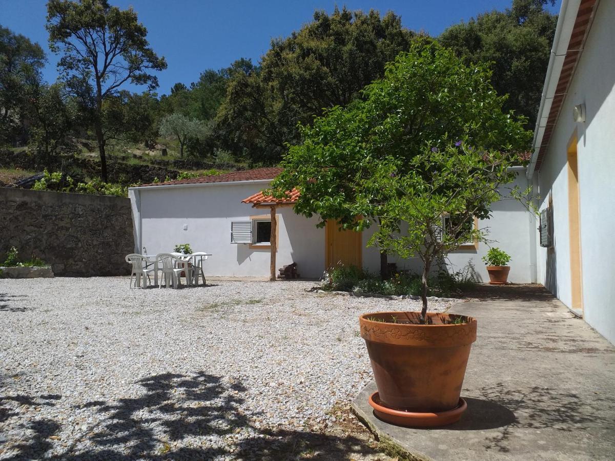 منزل الضيف Vale de Prazeres  في Quinta Da Barroquinha المظهر الخارجي الصورة