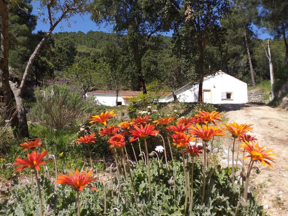 منزل الضيف Vale de Prazeres  في Quinta Da Barroquinha المظهر الخارجي الصورة