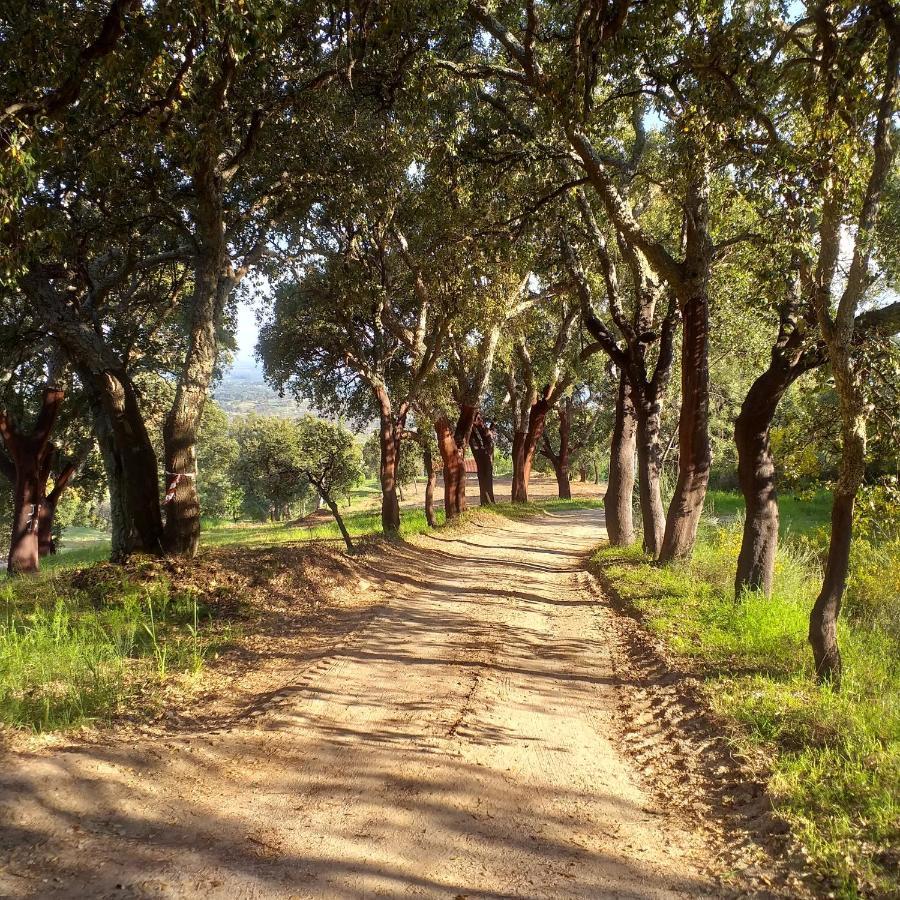 منزل الضيف Vale de Prazeres  في Quinta Da Barroquinha المظهر الخارجي الصورة