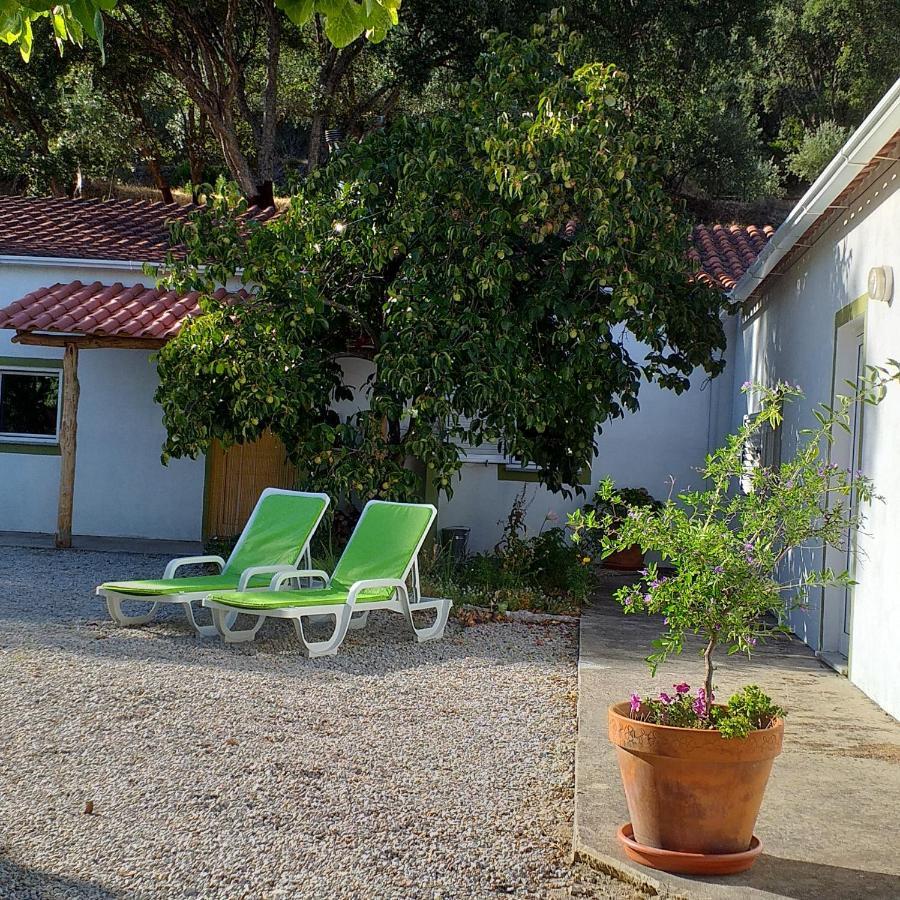 منزل الضيف Vale de Prazeres  في Quinta Da Barroquinha المظهر الخارجي الصورة