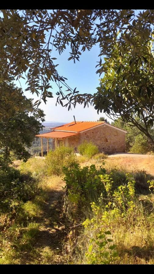 منزل الضيف Vale de Prazeres  في Quinta Da Barroquinha المظهر الخارجي الصورة