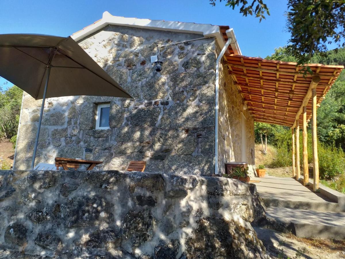 منزل الضيف Vale de Prazeres  في Quinta Da Barroquinha المظهر الخارجي الصورة