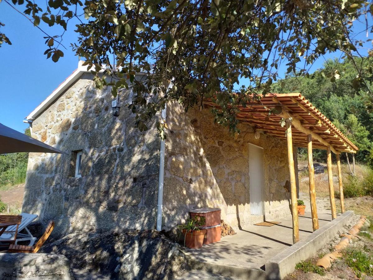 منزل الضيف Vale de Prazeres  في Quinta Da Barroquinha المظهر الخارجي الصورة